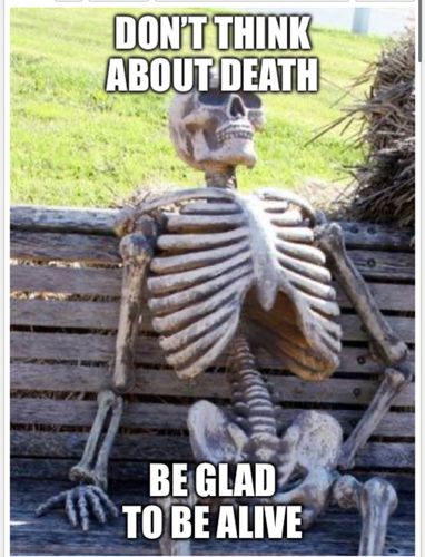 bodri.jpeg